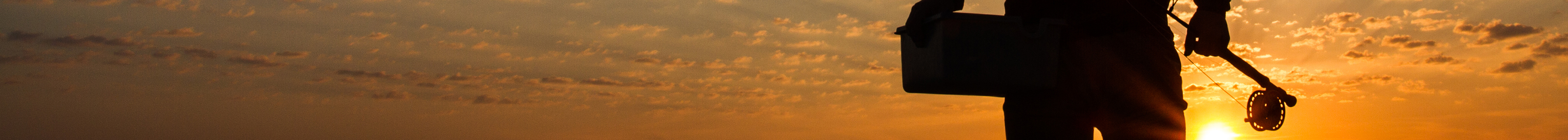 topbanner - solnedgang.jpg